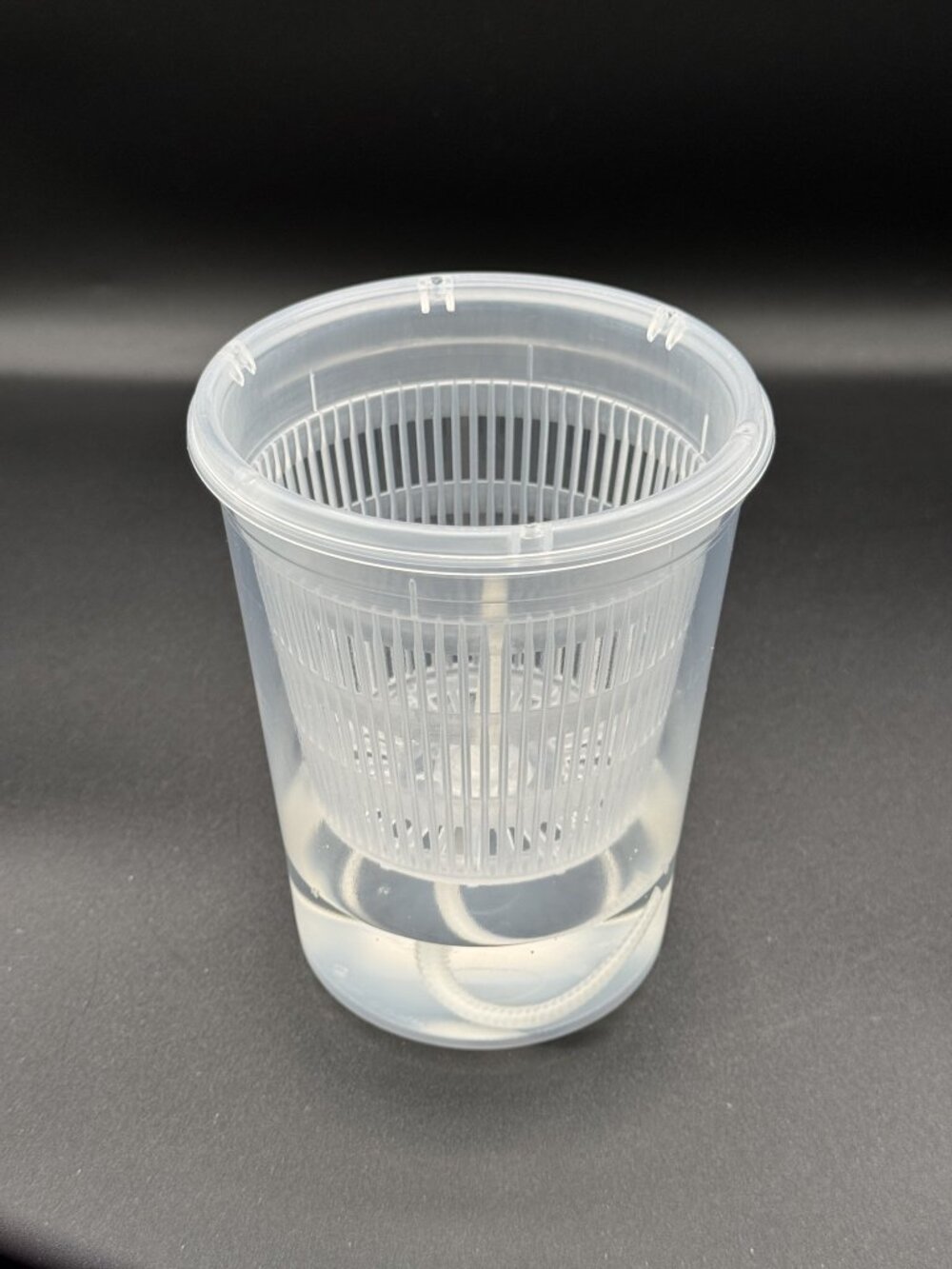 4-Inch Self-Watering Pot 3-Pack | Semi-Hydro Planter System | Clear